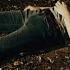 Glass Animals Psylla Official Video