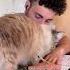Why Do CATS RUB Against Everything