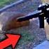 YouTuber MAG DUMPS Suspect