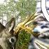 This BRAND NEW Hunting Game Takes REALISM To A New Level Deer Hunting Camp