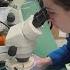 Legal Analyst Judge Rules Health Grants Cuts Illegal