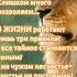 Wise Thoughts Wisdom Quotes Philosophy Self Development Inner Strength