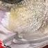 Beach Fishing Bass Pounded Topwater And Bucktails