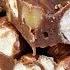 How To Make Rocky Road Fudge Dessert