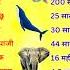 क न स ज व क तन वर ष ज व त Kaun Sa Jiv Kitte Varsh Jivit Rhte H Life Cycle Of Animals Gk