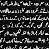 Ullu Ka Giria Islamic History Hadith Of Prophet Muhammad Best Islamic History Books In Urdu