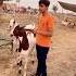 Lo A Gyi Qurbani Eid Ul Adha Shorts Speakyourmind Trending