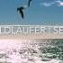 Der Waldläufer Sensimea Ambient Chillout Downtempo