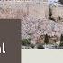 Very Unofficial Travel Guide To Athens Myths History Hidden Cafés