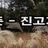 최희준 진고개 신사 Kpop 韓國歌謠