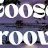 Stay Groovy