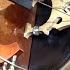 Gaining Time Neo Medieval Tune Hurdy Gurdy Organ Drum Ver2