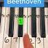 Better Than Beethoven Shorts Piano Pianolessons