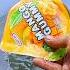 Sharing MANGO GUMMY Snacks With The Ants Short Video Snailhunter