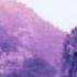 Violet Rocket Dimensed Forest Inspiration