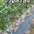 고추 폭풍성장시 관주하는 법