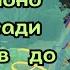 Що потрібно для розсади від сходів до пікіровки