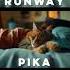 Comparing Runway Pika And Luma S Dream Machine