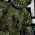 SPRINGTRAP IS BACK IN VRCHAT Dead By Daylight Funny Moments