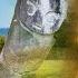 Extreme Adventure To Bada Valley Landslides Megaliths Sulawesi