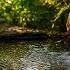 Instant Peace Of Mind Water Sounds Relaxing Music Anxiety Relief