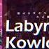 U U F O Tr 03 Labyrinth In Kowloon Walled World