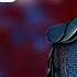 MK1 ONLINE KOMBAT LEAGUE ON MK1 AND MK11 SUBZERO