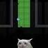 Sadcat Catcrying Spacemarine2 Spacemarines Saxophone Beatball Satisfying Ballbreaker