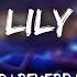 Alan Walker Lily Slowed Reverb Lyrics Ft K 391 Emelie Hollow Lo Fi Song