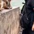 The Monkey Was Frightened By Master Kuang Haha The Monkey Became A Spirit Please Do Not Imitate
