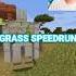 Minecraft Touch Grass Speedrun Set Seed