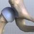 Knee Anatomy Animated Tutorial