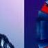 Dua Lipa Zedd Find You New Rules Mashup