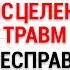 Медитация Исцеление Пяти Травм 5 5 Несправедливость Маска Ригидного Практика Хоопонопоно