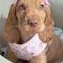 Penny Is Most Beautiful Princess There S Ever Been