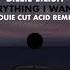 Billie Eilish Everything I Wanted Louie Cut Acid Remix