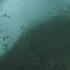 Leopard Seal Vocalizations Antarctica Lindblad Expeditions National Geographic