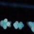 Wertess 444 HEARTNEATS PER MINUTE Album Teaser 2025