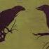 Terramist The Crow S Caravan Of Wonders 2020 Ambient Dungeon Synth