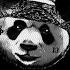 Cover CYGO Panda E