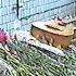Последствия теракта во время рок фестиваля Крылья видео из личного архива
