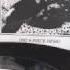 Strawberry Switchblade Trees Flowers 7inch