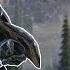 Hunters Lekgolo Explained In Great Detail Halo Lore