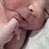 Hungry Bird In The World Cutebaby Viralvideo Youtubeshorts Newlyborn Cute Babyboy