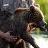 Nature S Hero Ranger Rescues Frightened Baby Bear From Muddy Swamp With Gentle Care