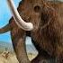400 000 Year Old Ivory Tools Discovered