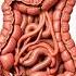 Constipation Animation Digestive System Human Anatomy 09