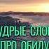 Можно Простить Цитаты про Обиду и Прощение мудрость цитаты мудрыемысли мудрыеслова