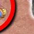 SUPER YETI Vs NAVI In World Championship Qualifier Clash Of Clans
