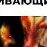 Какие поступки притягивают благополучия и беды Подкаст Павел Дмитриев